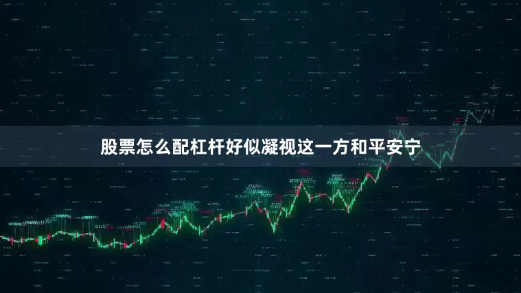 股票怎么配杠杆好似凝视这一方和平安宁