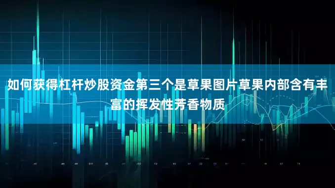 如何获得杠杆炒股资金第三个是草果图片草果内部含有丰富的挥发性芳香物质