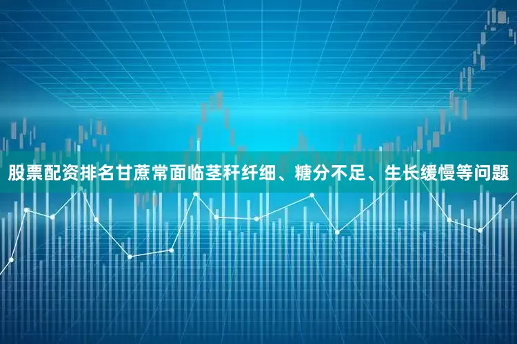 股票配资排名甘蔗常面临茎秆纤细、糖分不足、生长缓慢等问题