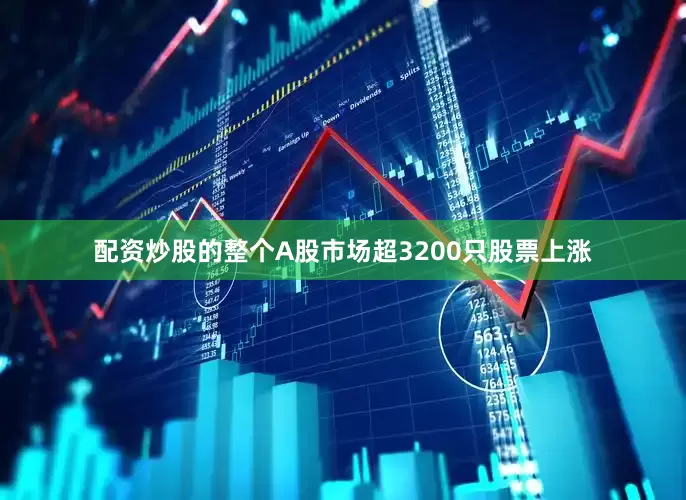 配资炒股的整个A股市场超3200只股票上涨