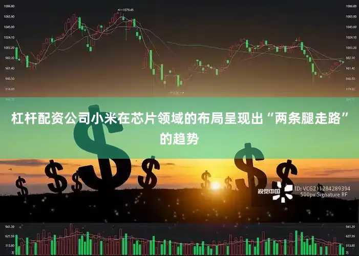 杠杆配资公司小米在芯片领域的布局呈现出“两条腿走路”的趋势